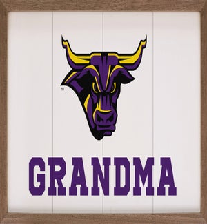 Grandma Minnesota State University Mankato